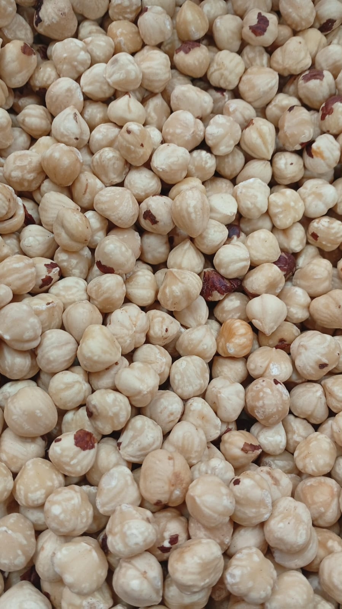 בונדוק מולבן 250 גרם