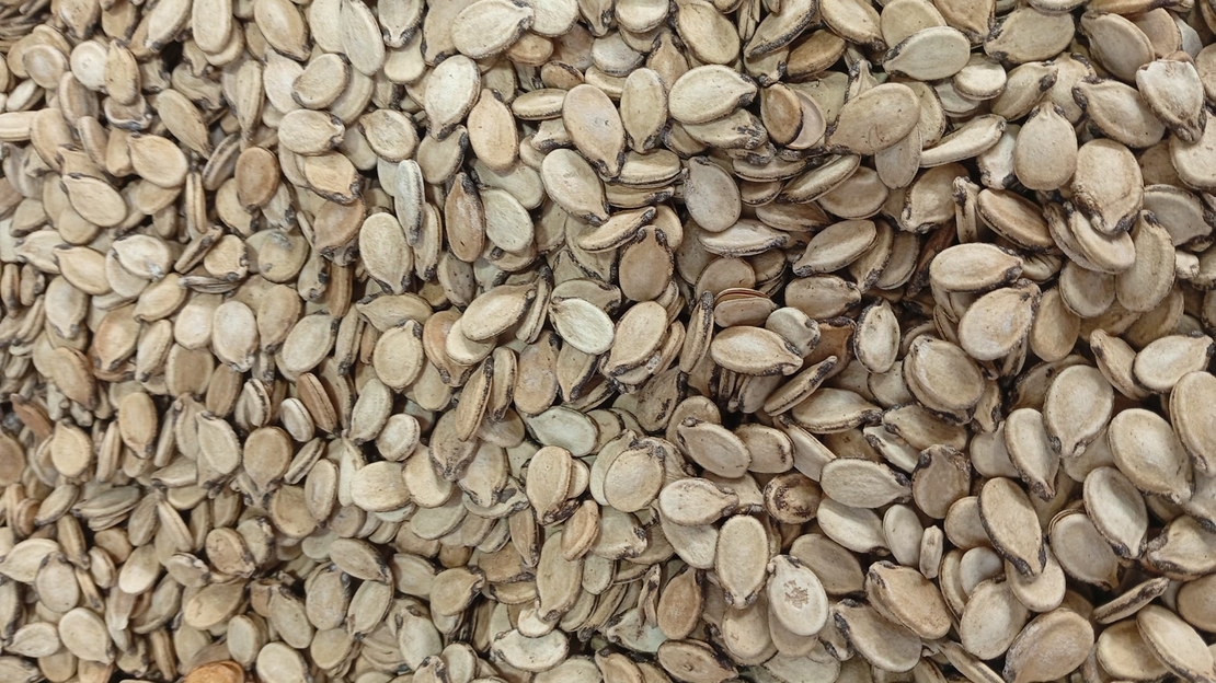 גרעיני אבטיח קלויים 250גרם