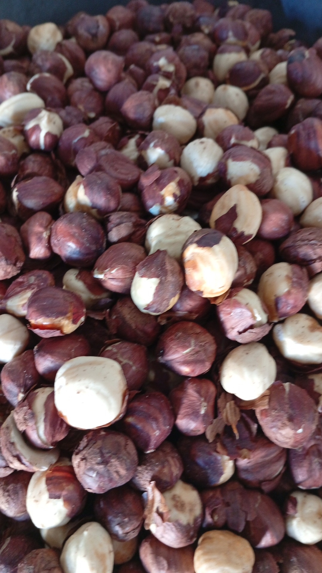 לוז קלוי ללא מלח 250 גרם