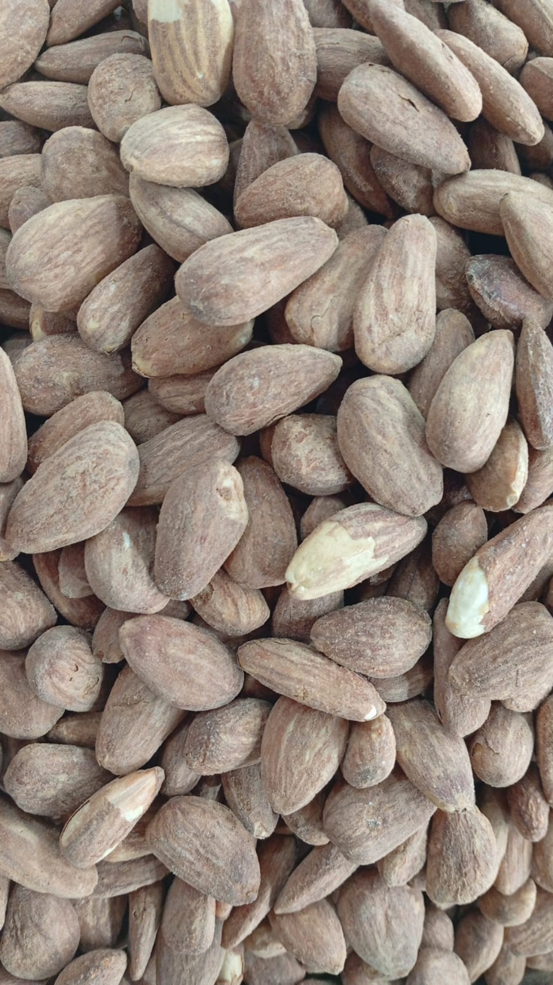 שקד קלוי 250 גרם