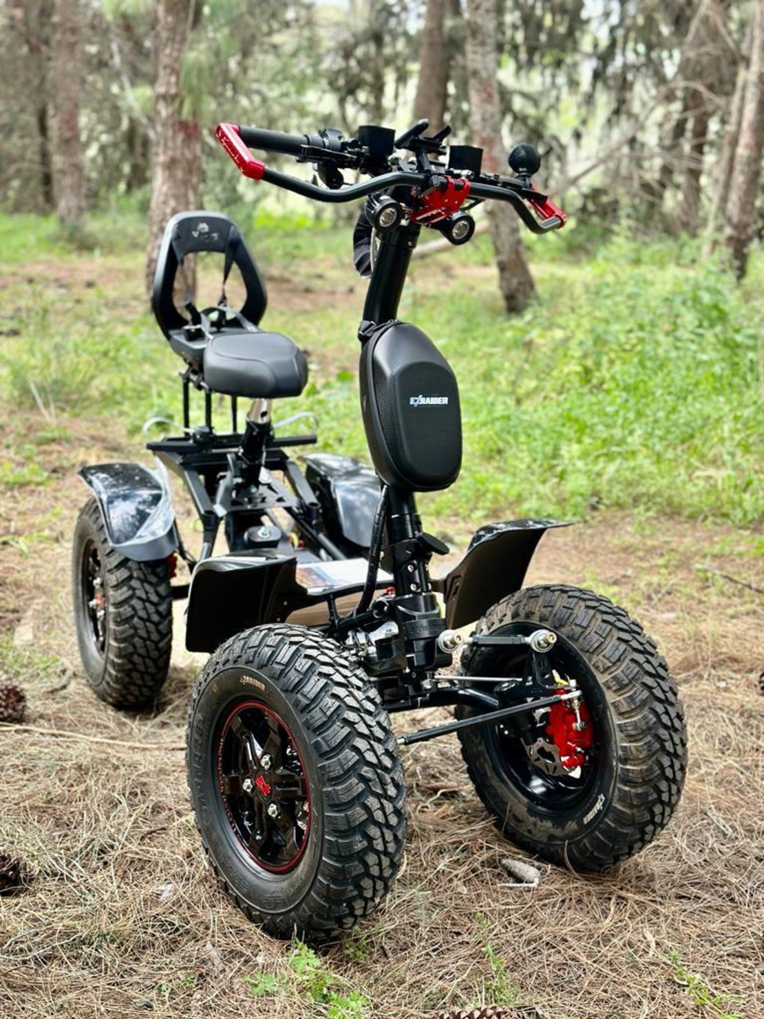 איזיריידר - ezrider