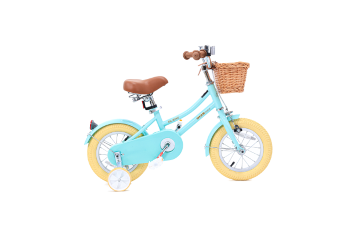 12- VINTAGE אופניים