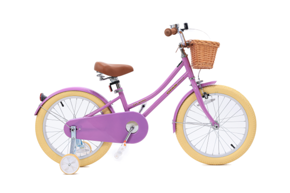 18- VINTAGE אופניים