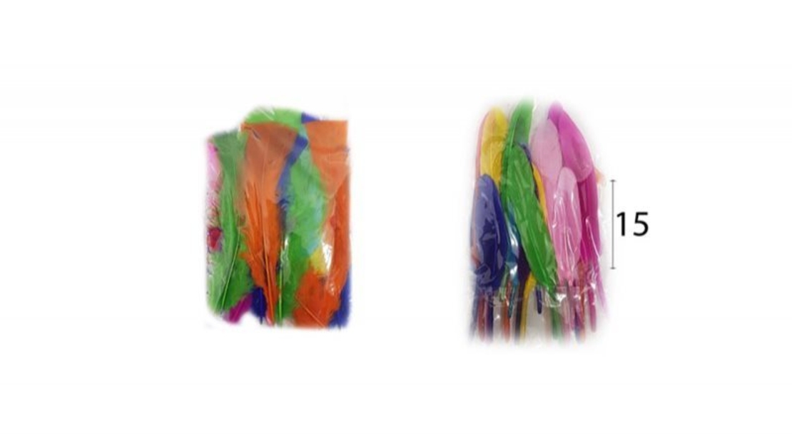 נוצות צבעוניות