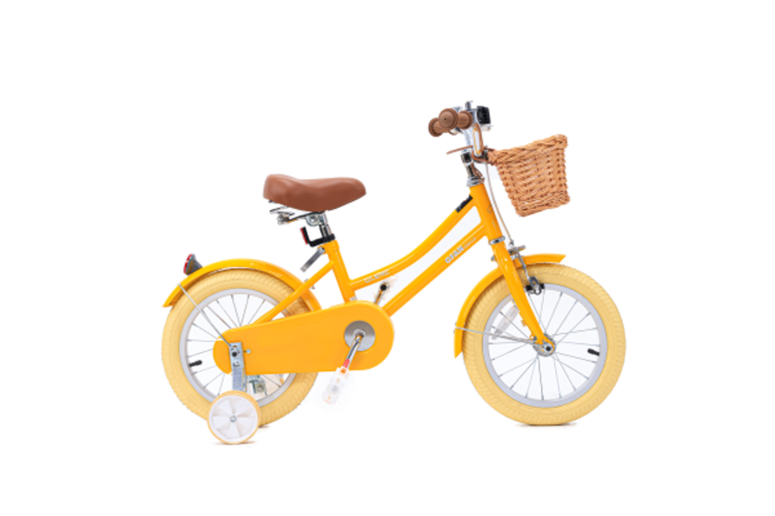 14- VINTAGE אופניים