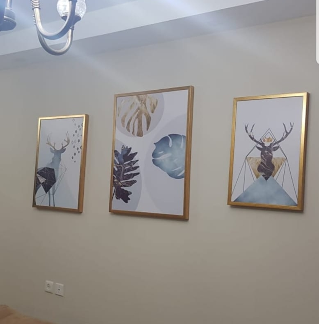 תמונות מהבתים שלכם 30