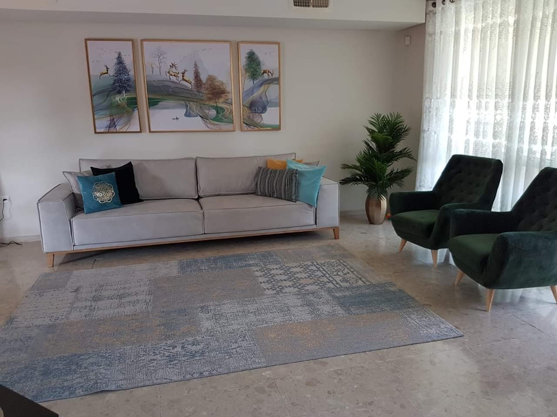 תמונה מעוצבת מחולקת דגם 88465