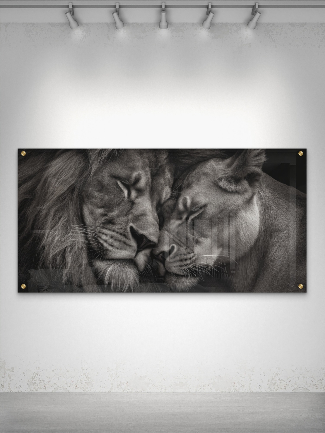 תמונת זכוכית לרוחב של זוג אריות עם ראשיהם צמודים ברגע אינטימי, בעיצוב מונוכרומטי יוקרתי – NEXTGEN BY BAR.
