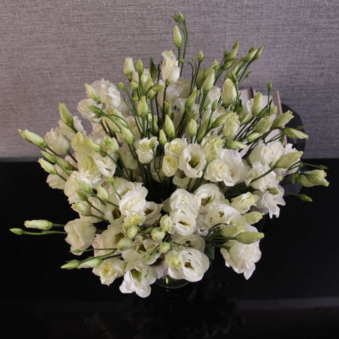 White lisianthus in a vase