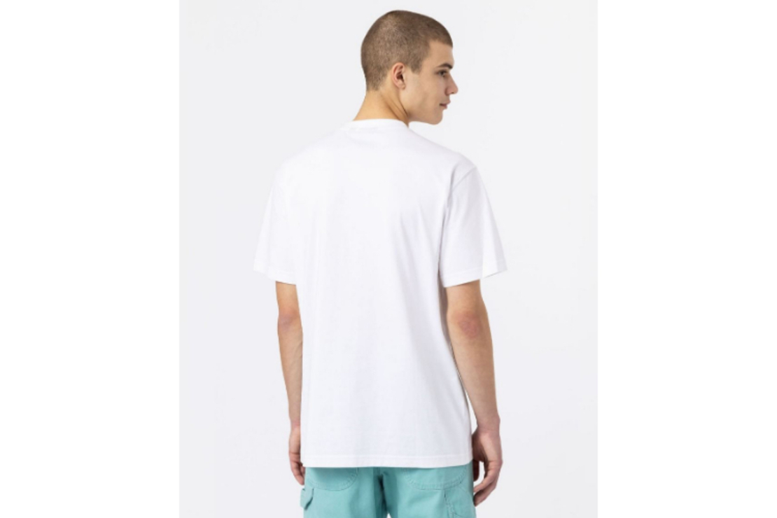Dickies - טי שירט Mount Vista