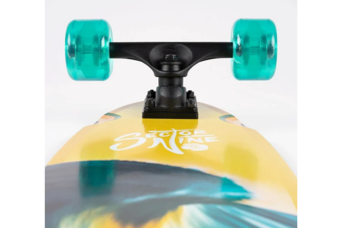 Sector 9 - לונגבורד במידה 34.5