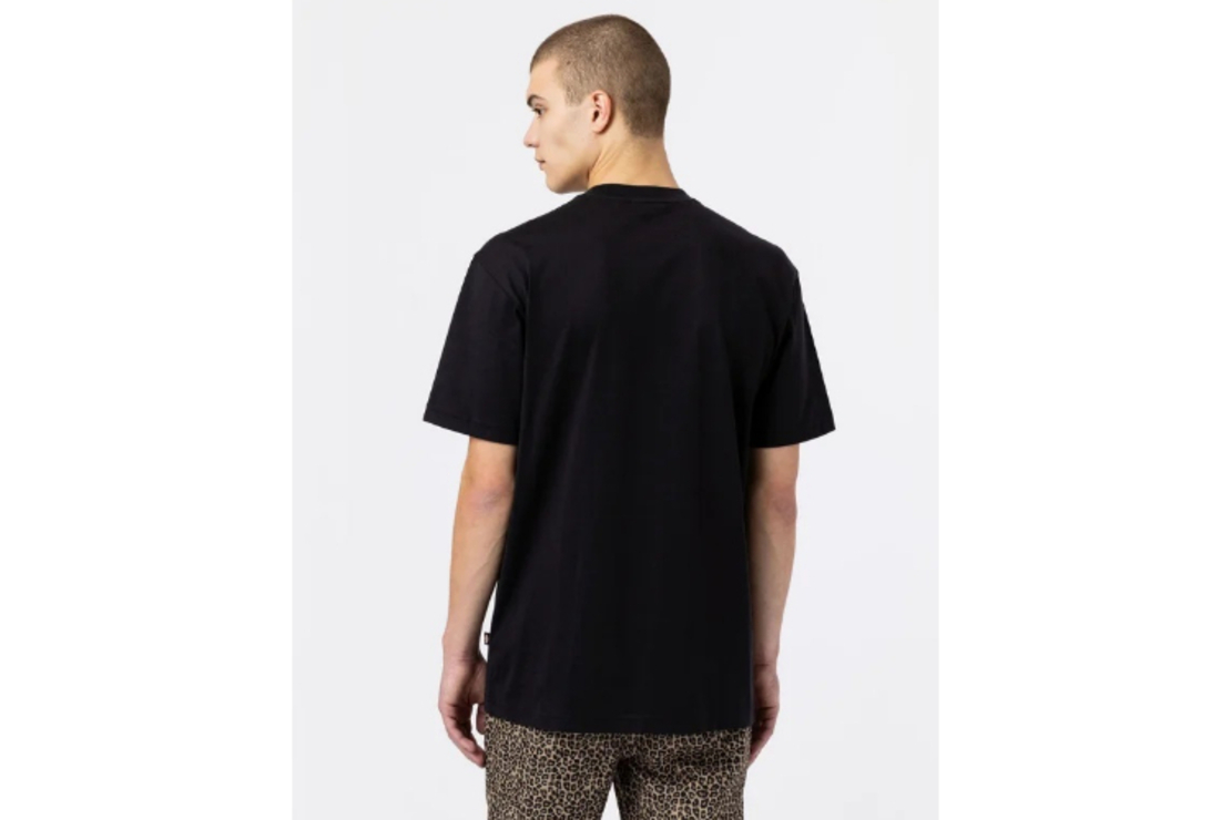 Dickies - טי שירט Mount Vista