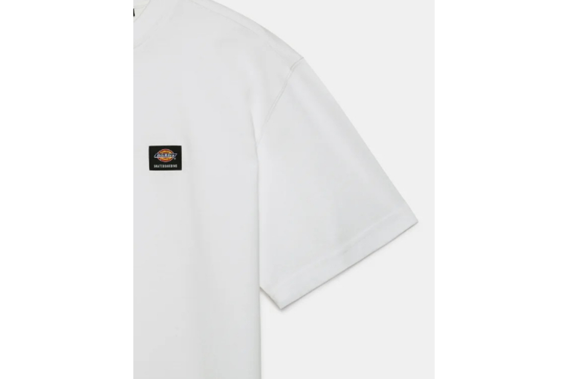 Dickies - טי שירט Mount Vista