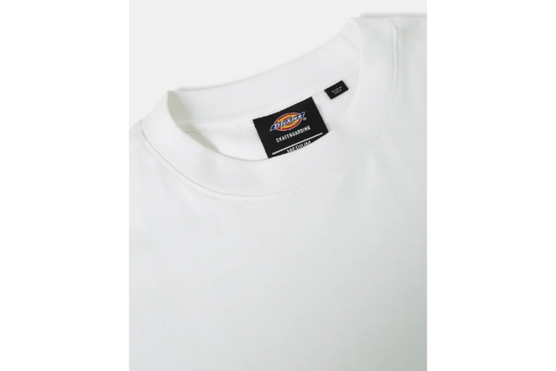Dickies - טי שירט Mount Vista