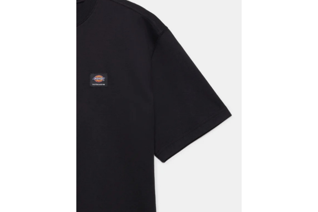 Dickies - טי שירט Mount Vista
