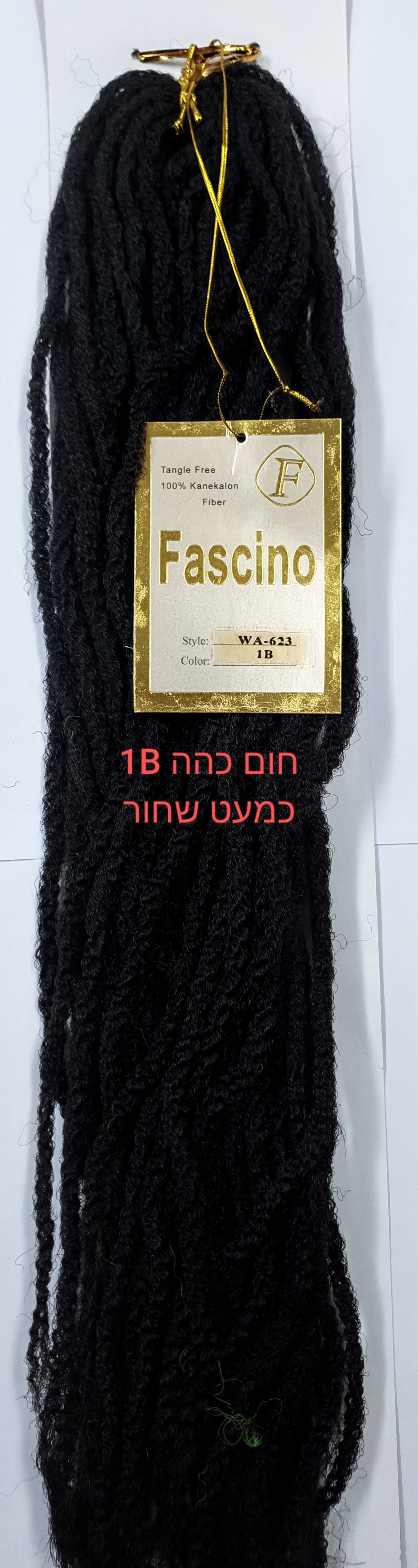 רסטות קניקולון