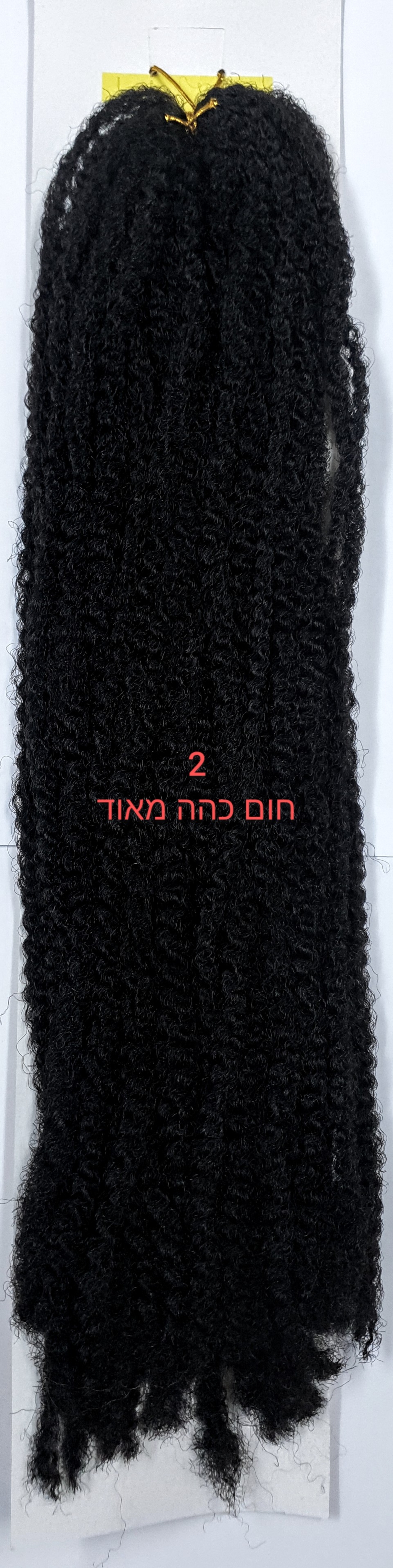 רסטות קניקולון