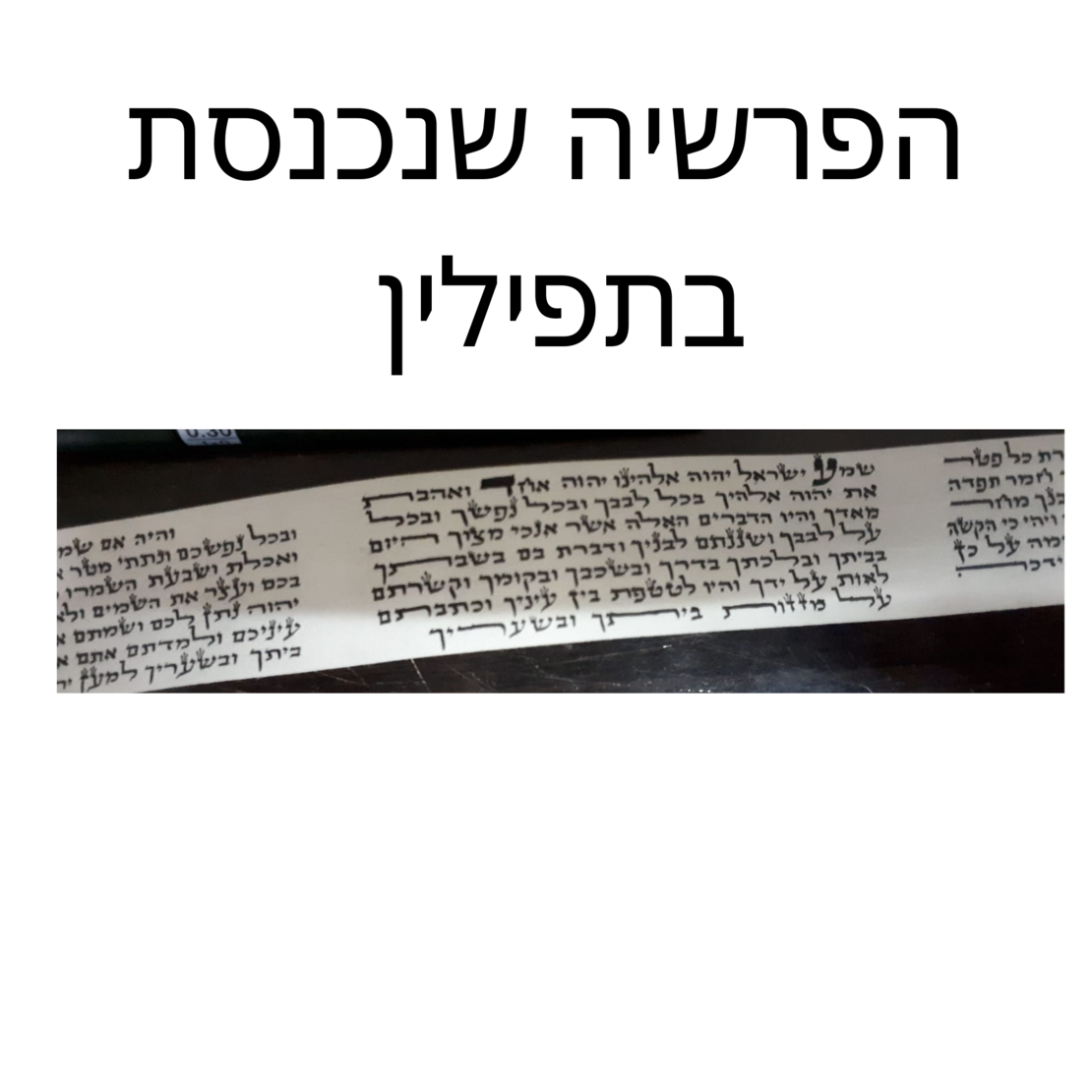 Tefillin Kosher Simple Spanish / Ashkenazi  - Copy 2