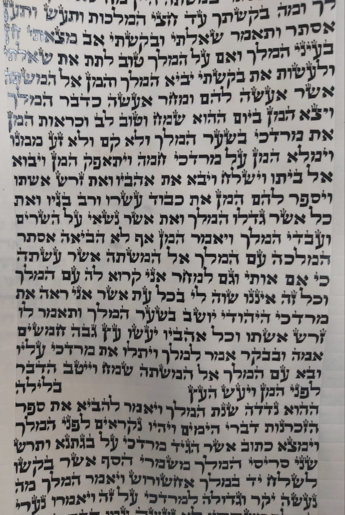 Megillah House