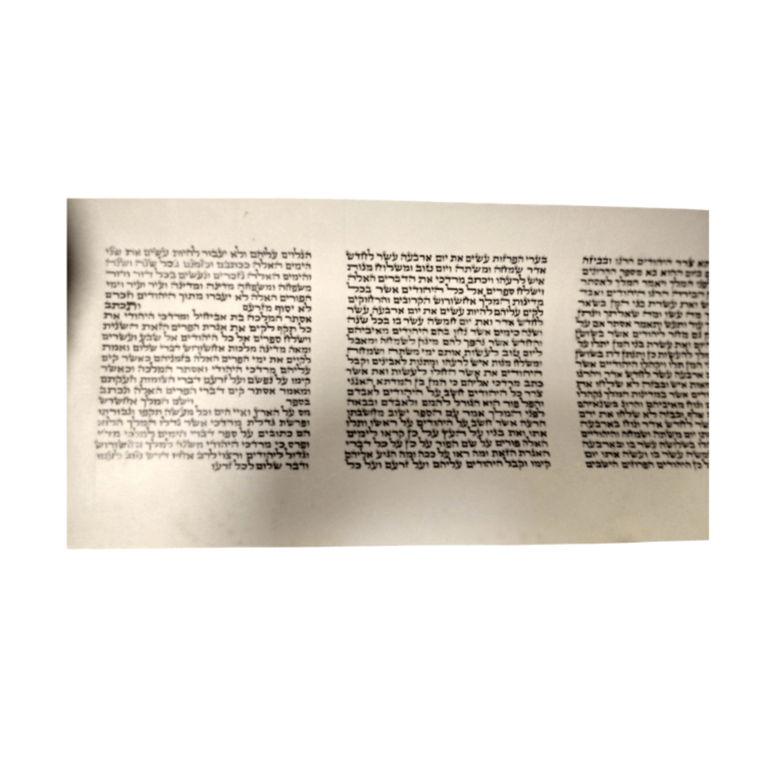 New Megillah 2020 Kosher Sefaradi Megilat Ester 19 c