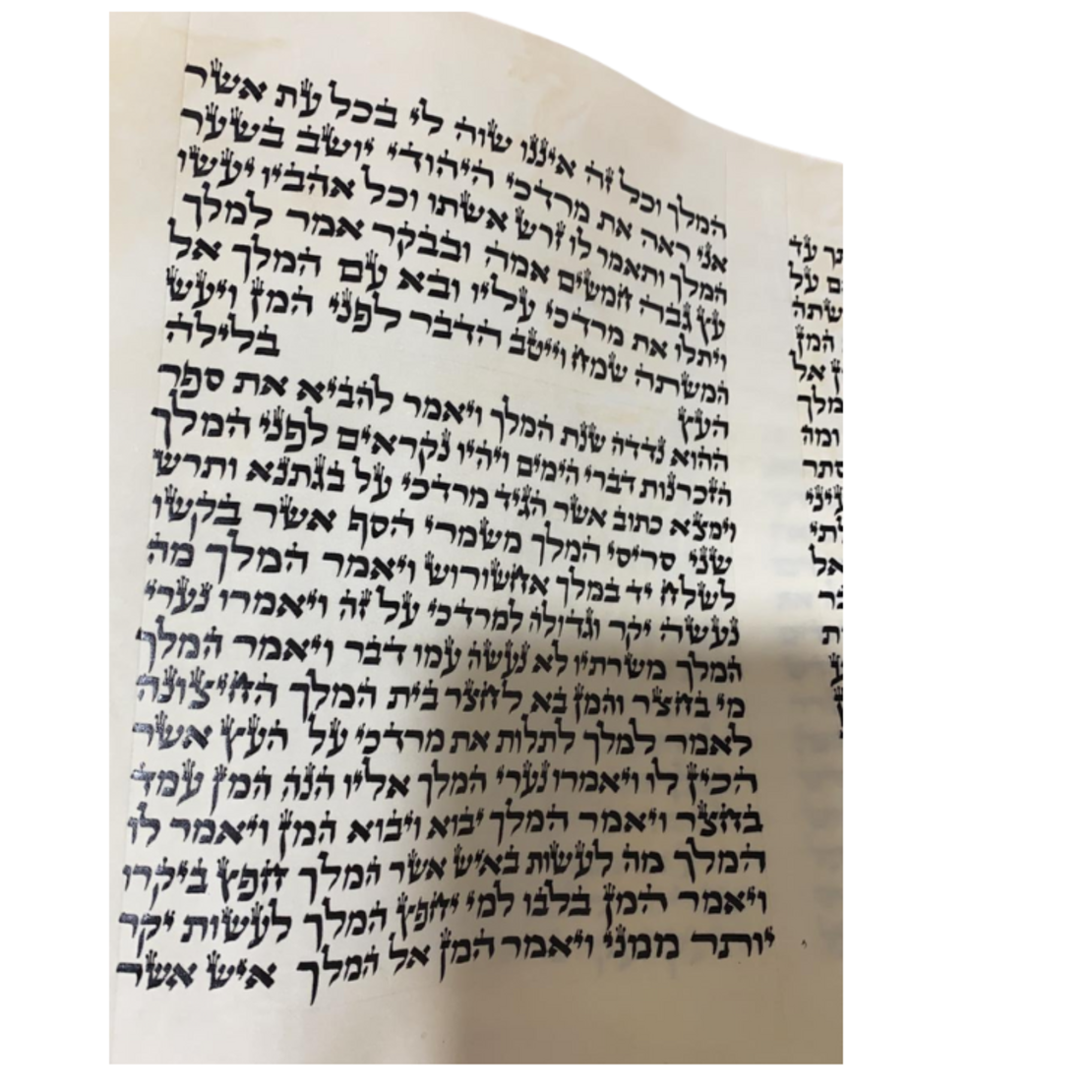 Megillah House