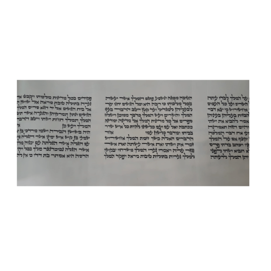 Megillah House - Copy 12