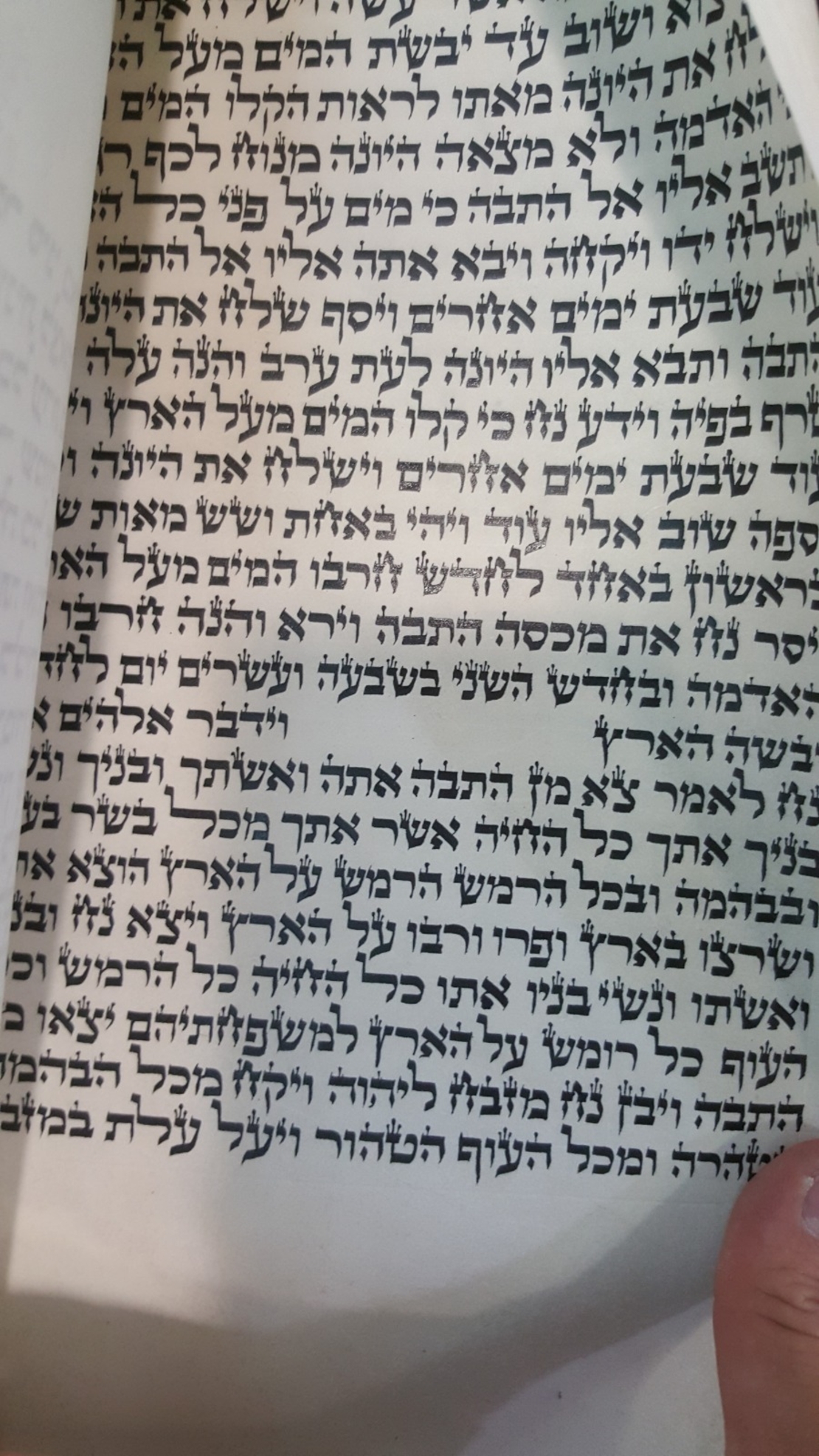 New sfarad sefer Torah klaf size 56