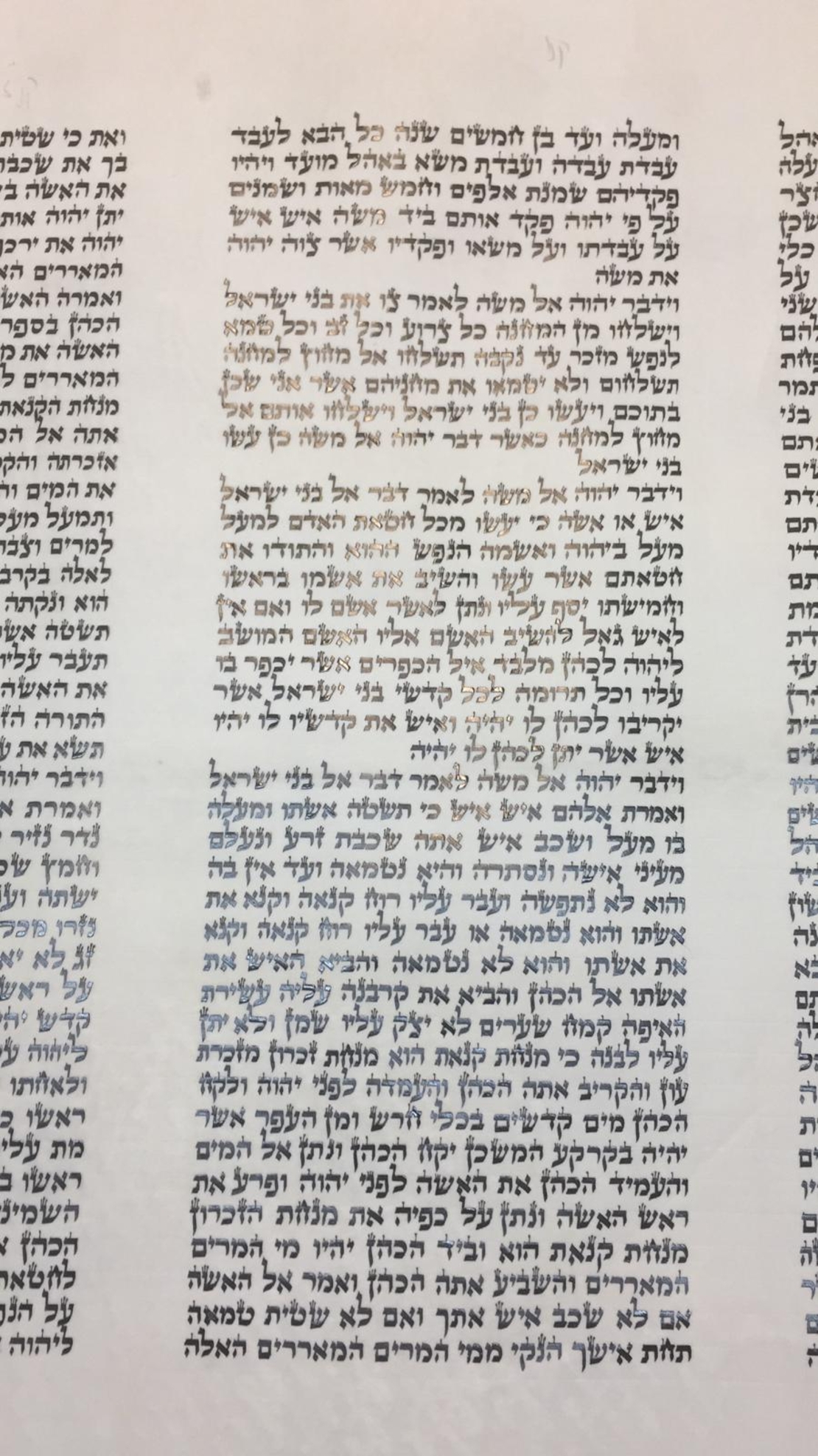 New sfarad sefer Torah klaf size 56