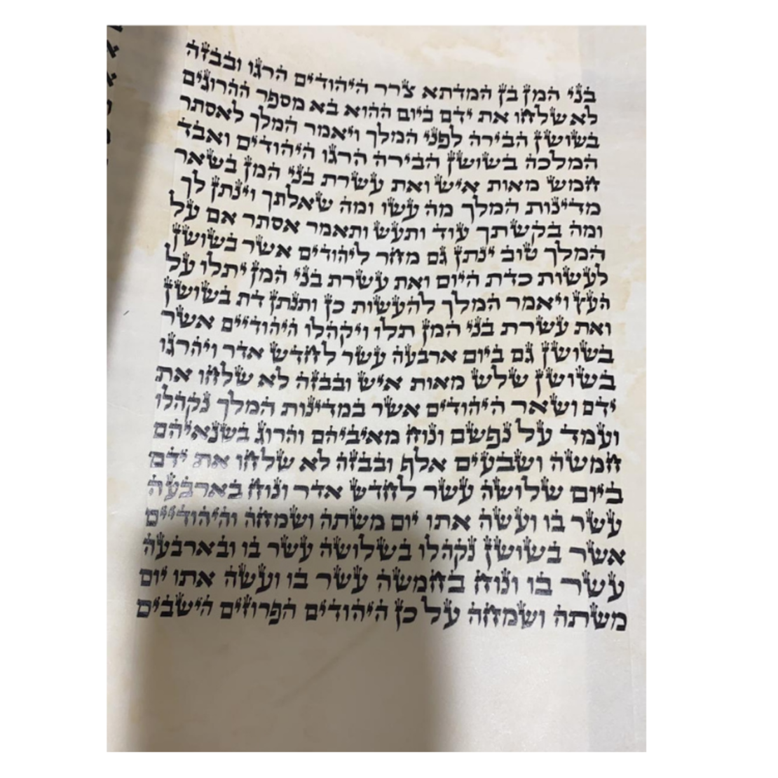 Megillah House