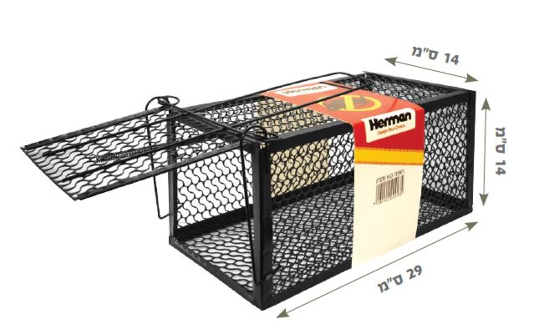 מלכודת לחולדה