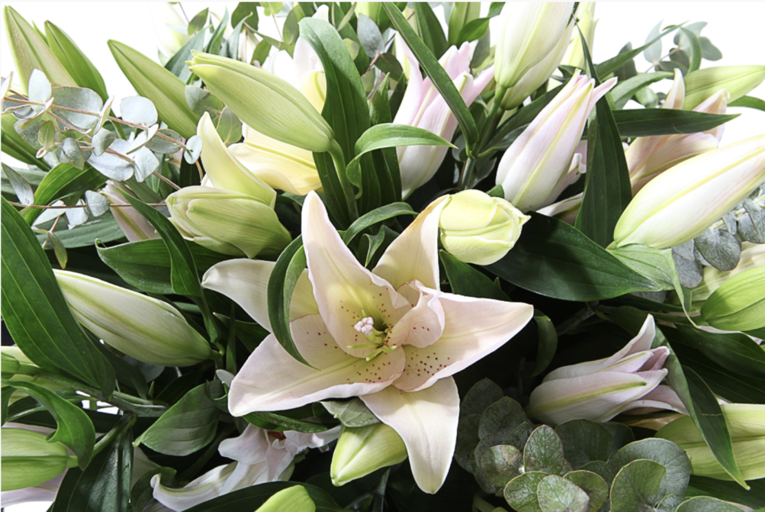 Bouquet of white lilies 