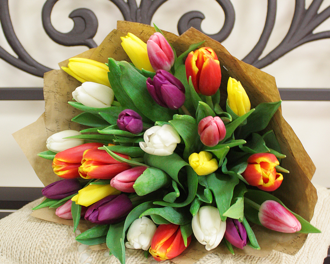 Bouquet of 19 tulips