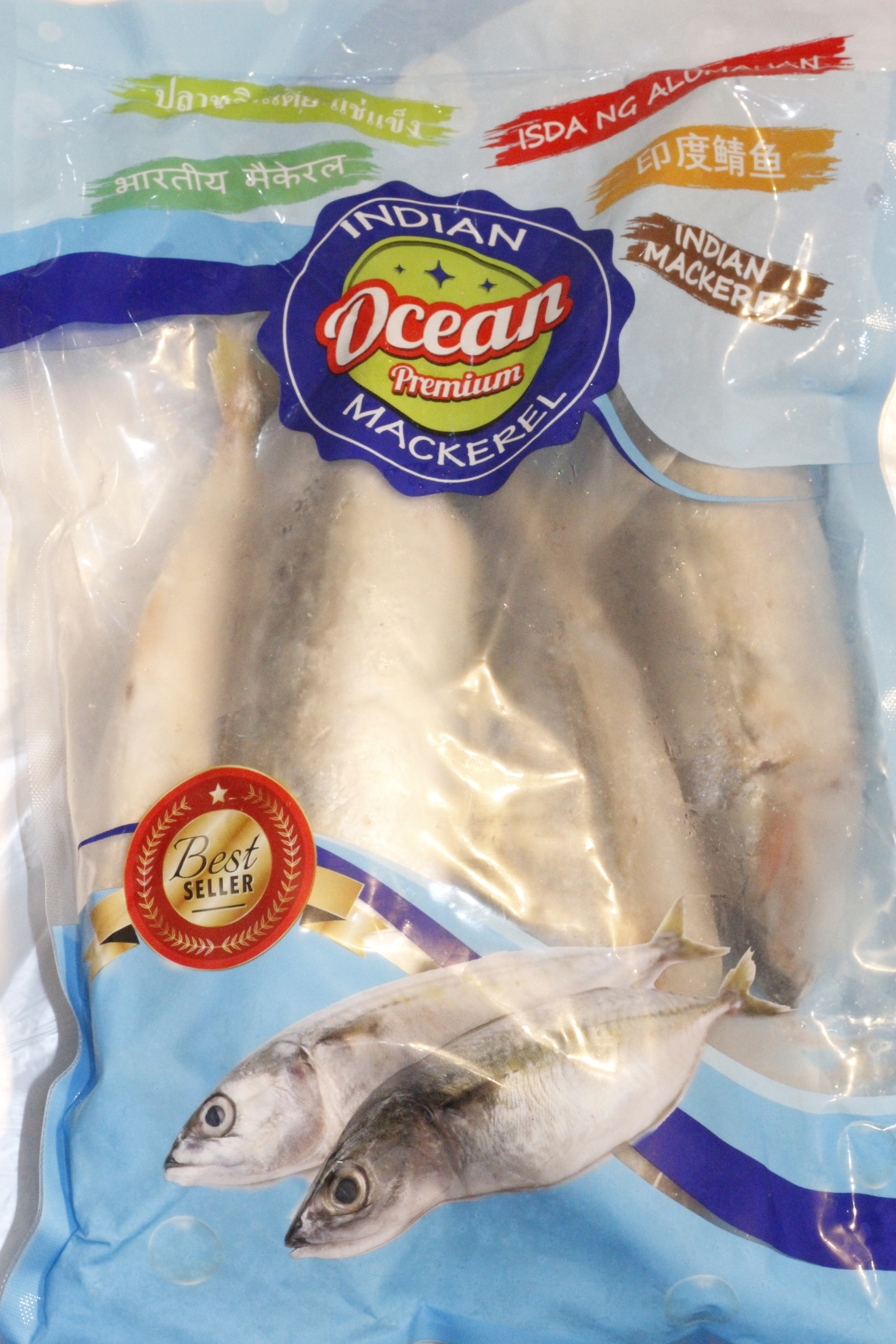 Ocean Premium - whole Round Mackerel