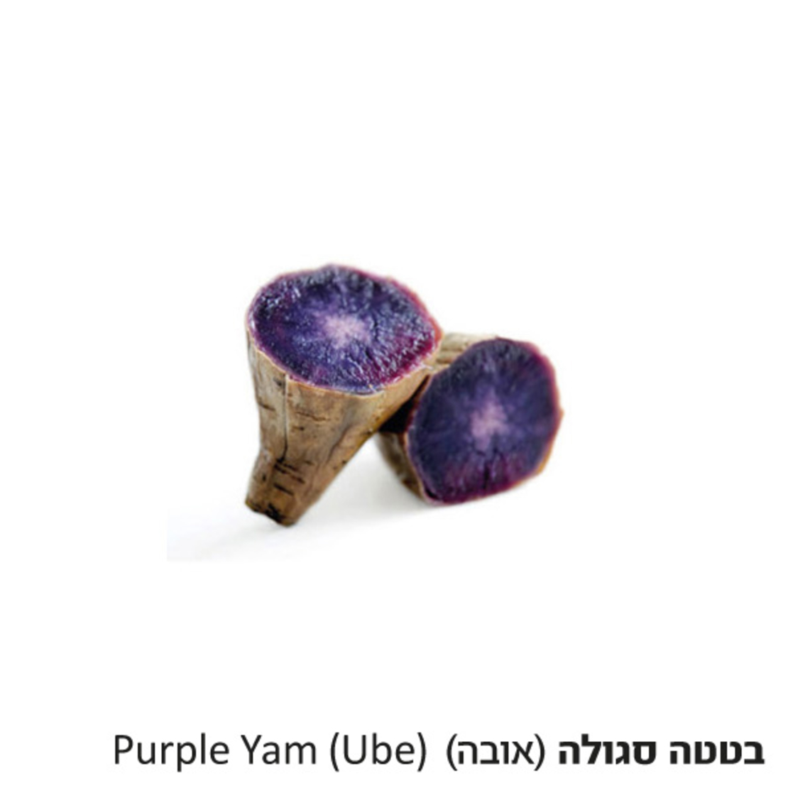 Purple Yam -Ube  kilo