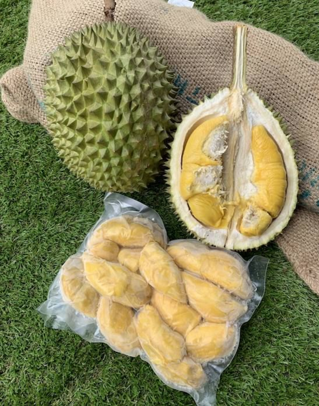Barili - Durian without seeds 