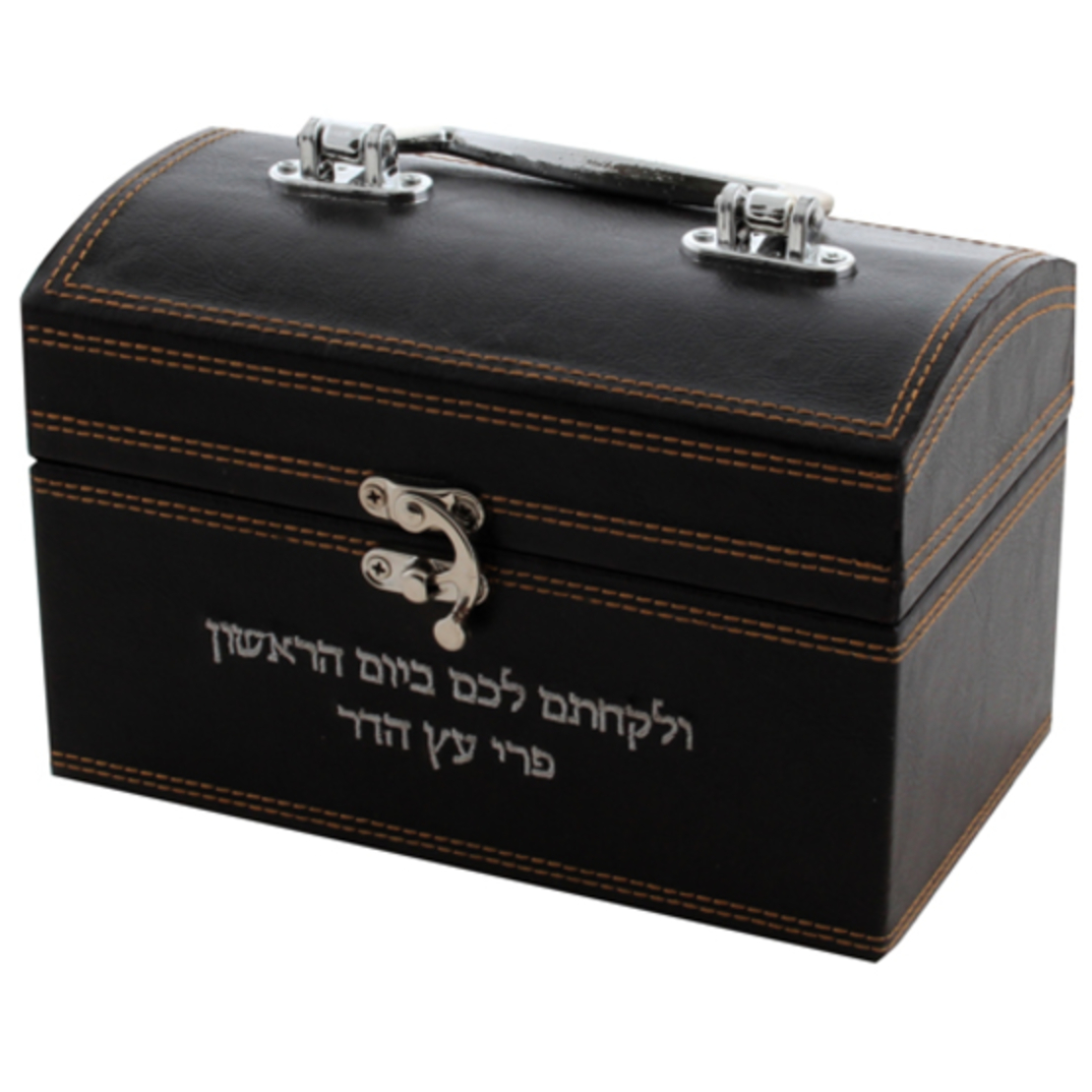 Fancy leather-like etrog box with plaque, handle and metal lock - dark brown