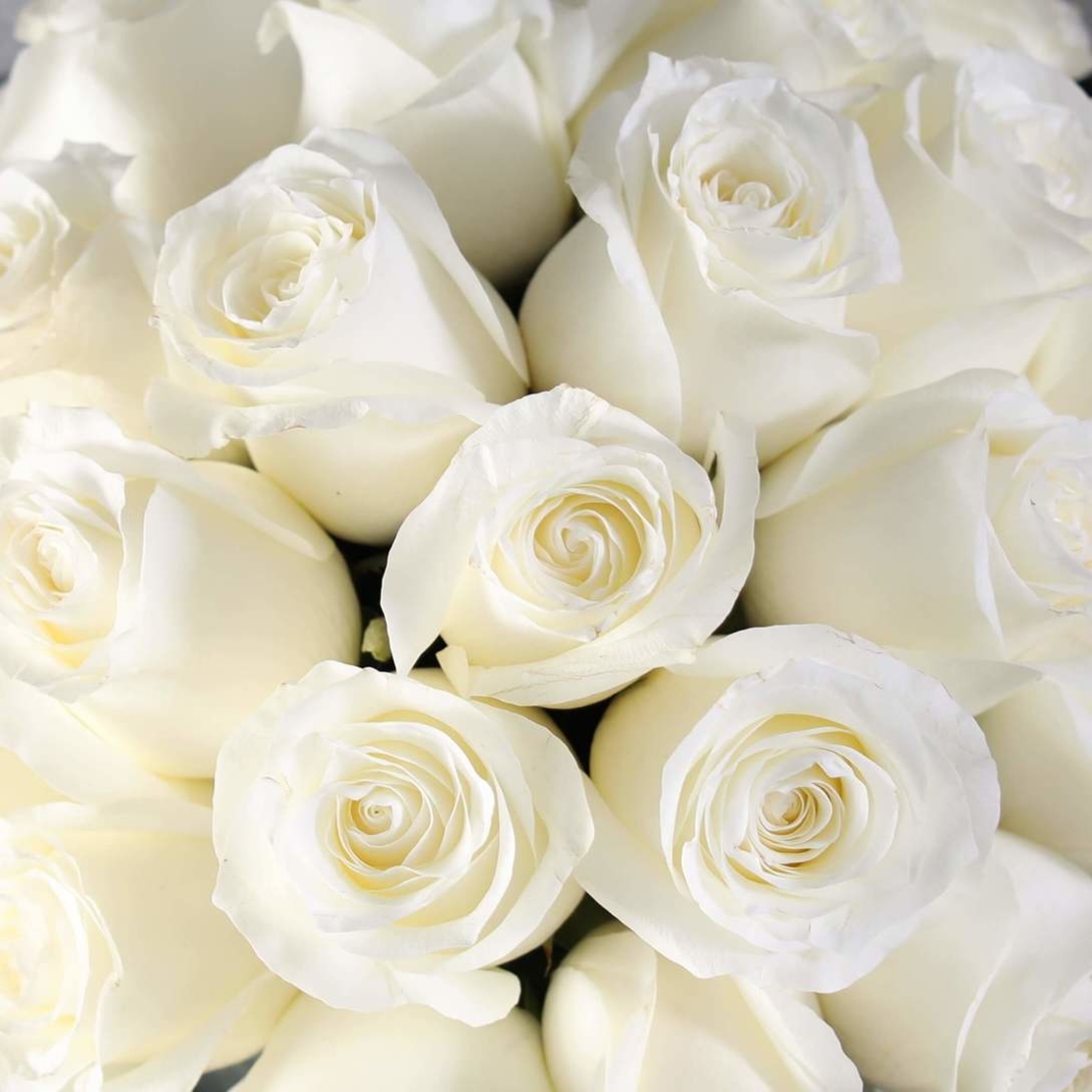 זר ורדים לבנים באגרטל