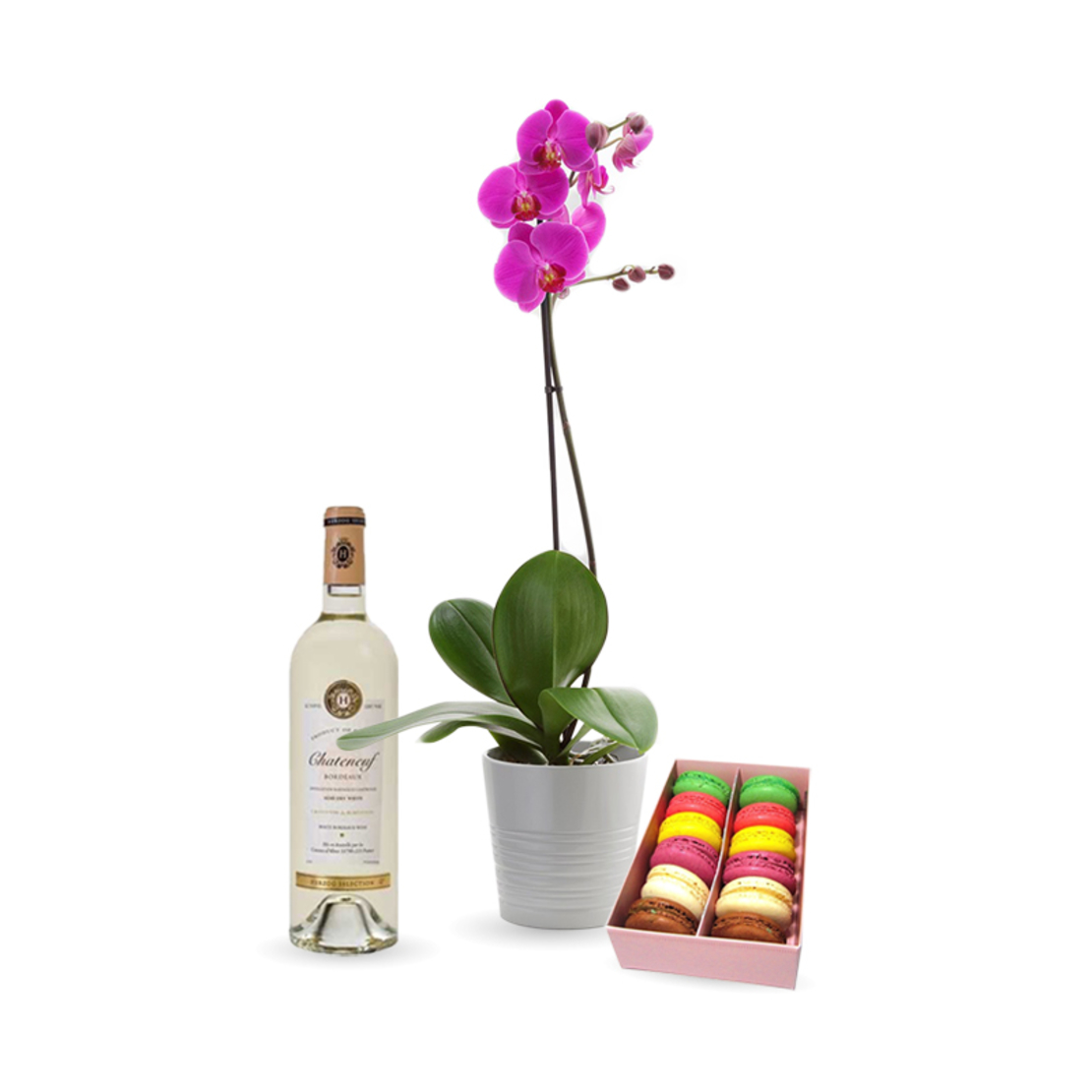 Gift box with orchid, wine and macarons Perly