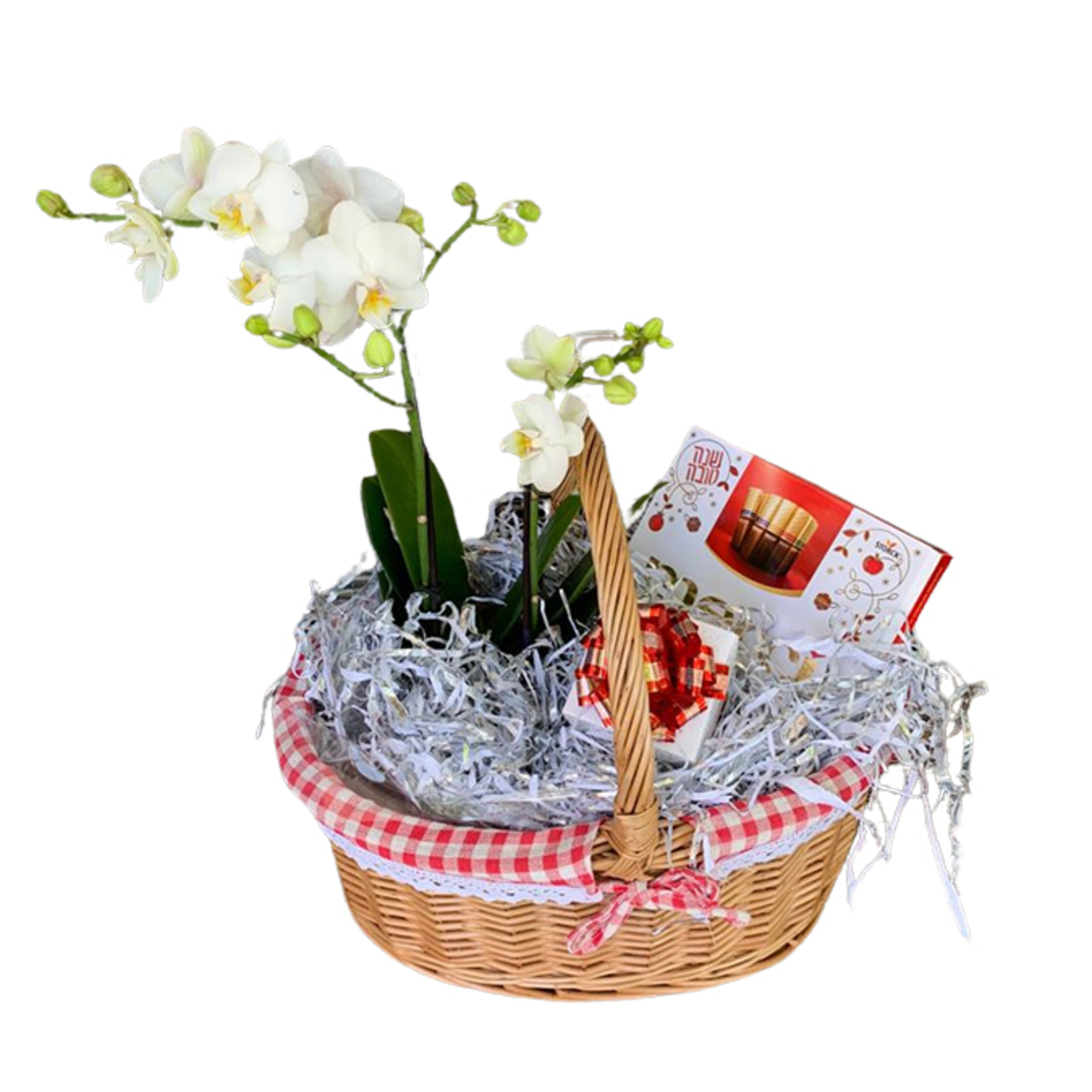 Orchid case in basket