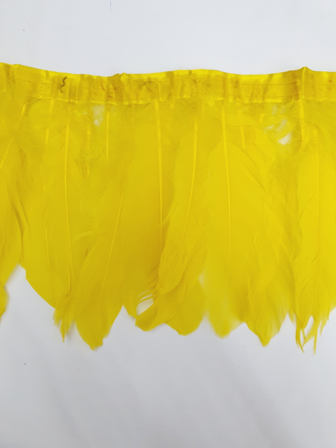 סרט נוצות אווז צבע צבע צהוב 