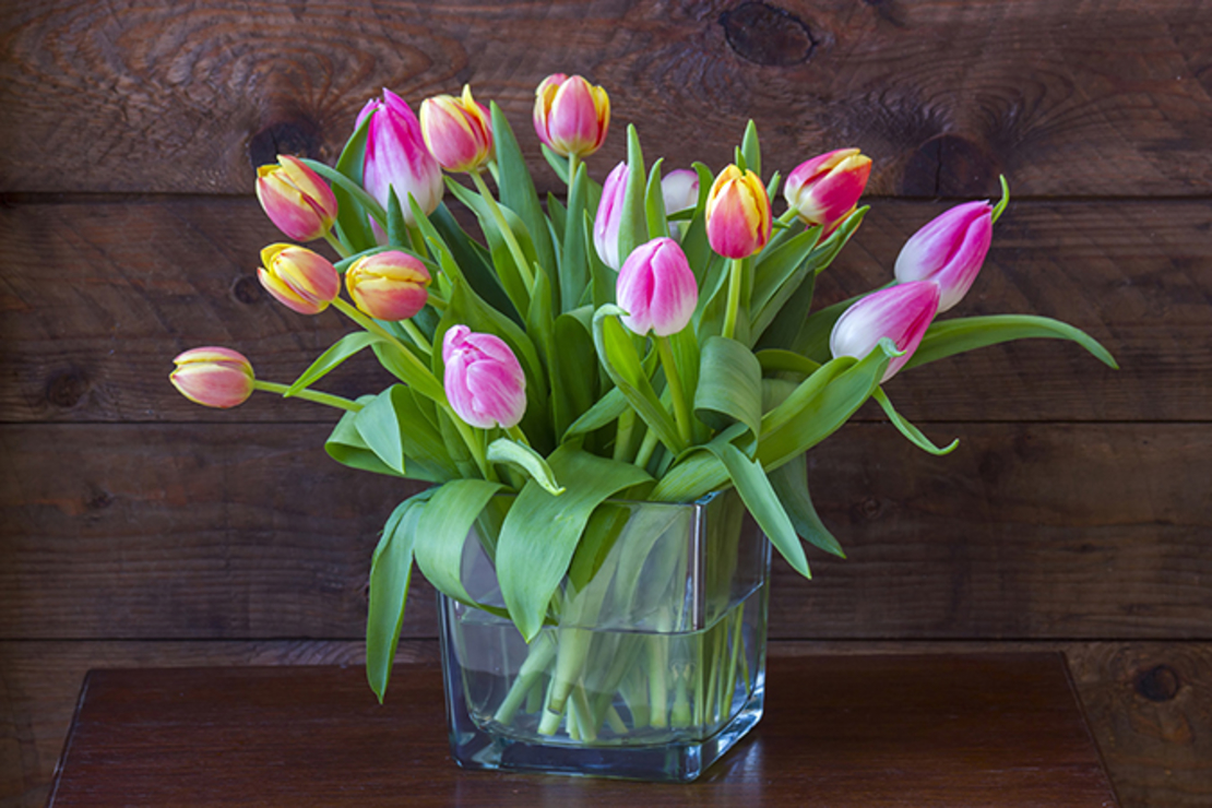Arranging tulips in a vase - 2