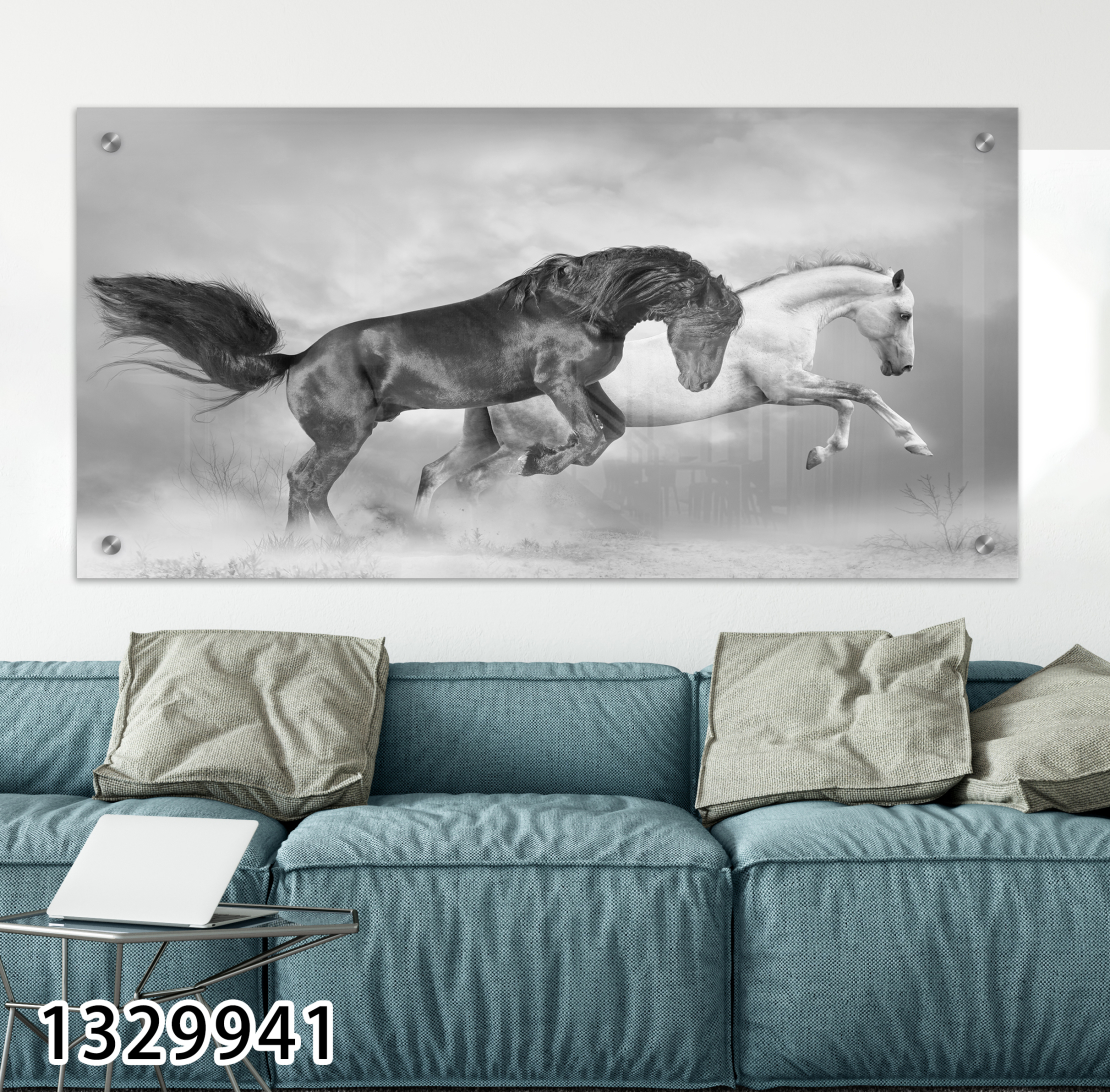 תמונה בשחור לבן של סוסים לסלון לחדר השינה או למשרד על קנבס או זכוכית במבחר מידות דגם-1329941
