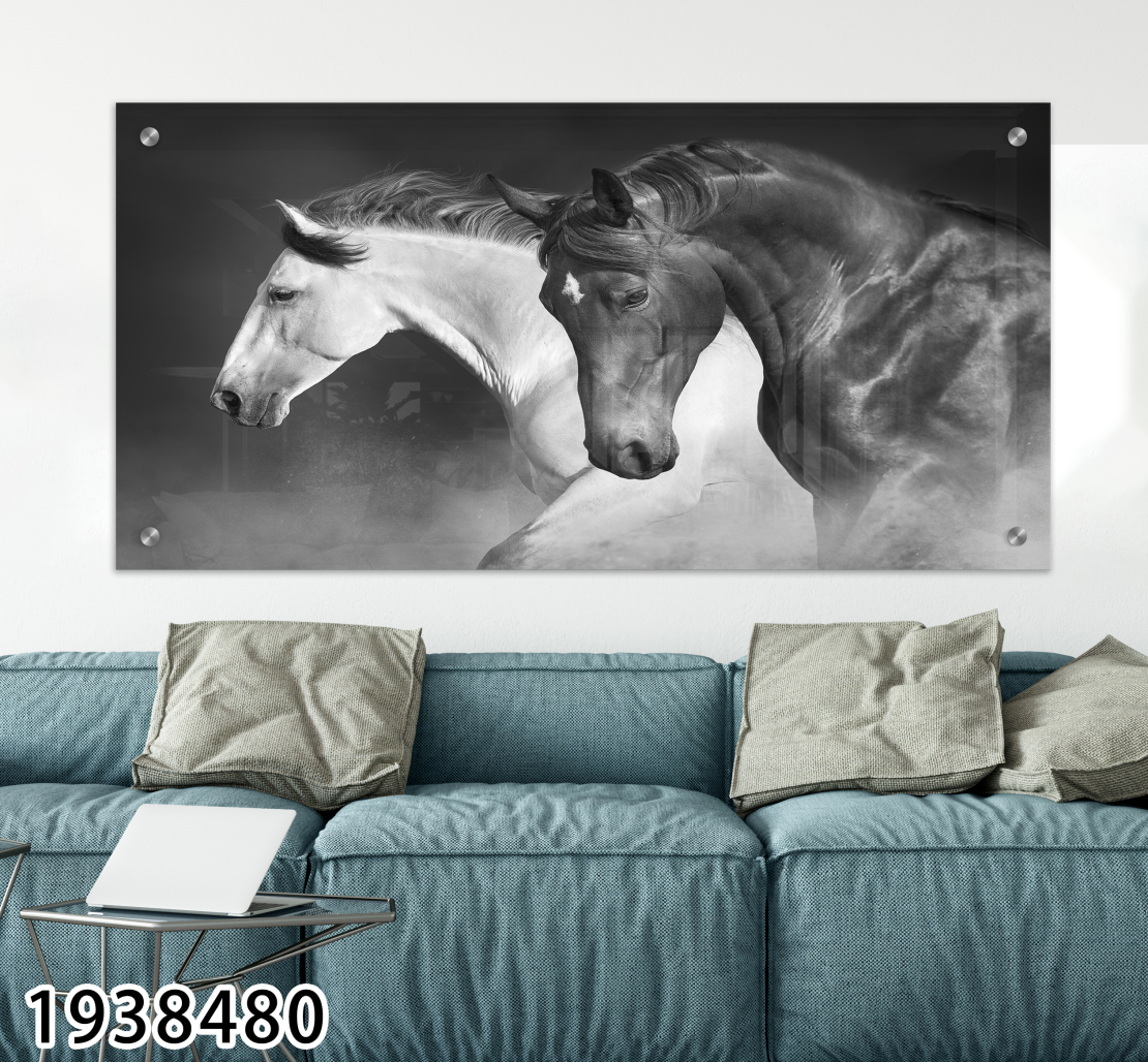 תמונה בשחור לבן של סוסים לסלון לחדר השינה או למשרד על קנבס או זכוכית במבחר מידות דגם-1938480
