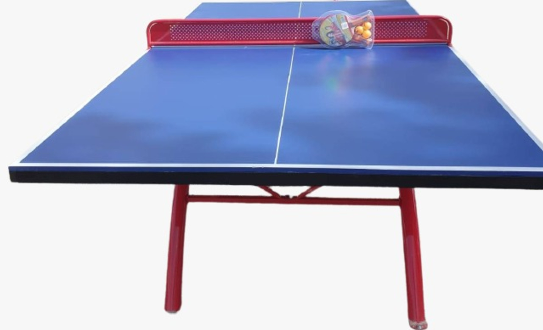PING PONG TABLE OUTDOOR STABLE