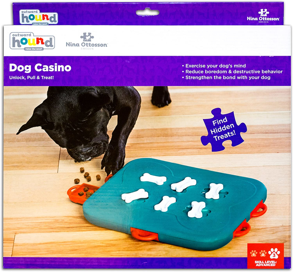 משחק חשיבה לכלב - Dog casino puzzle