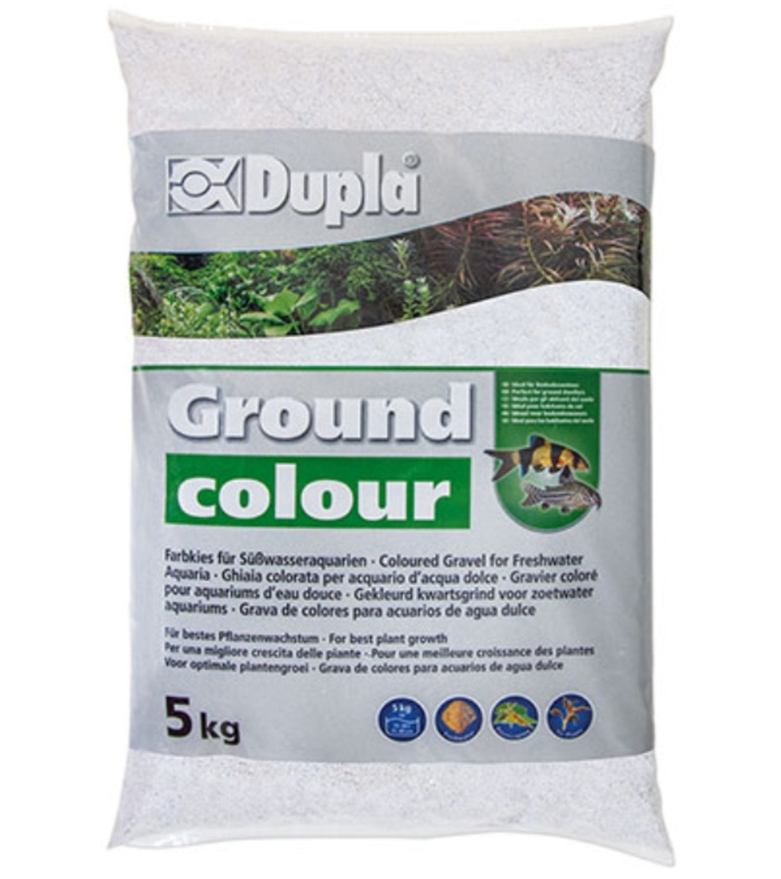 Dupla Ground colour Snow White 5kg | חצץ בצבע לבן אפרפר