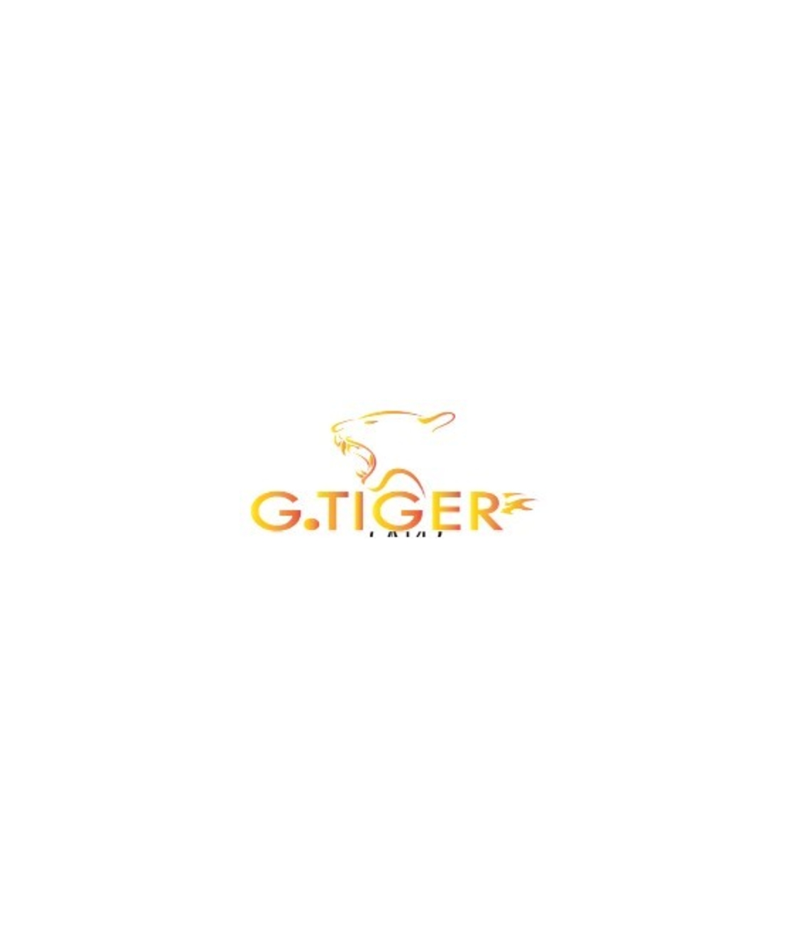 G-TIGER GT-A1