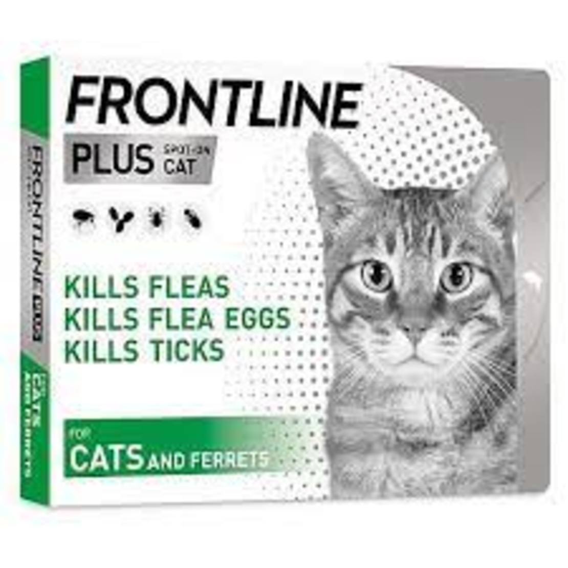 אמפולות פרונטליין פלוס לחתולים | frontline plus