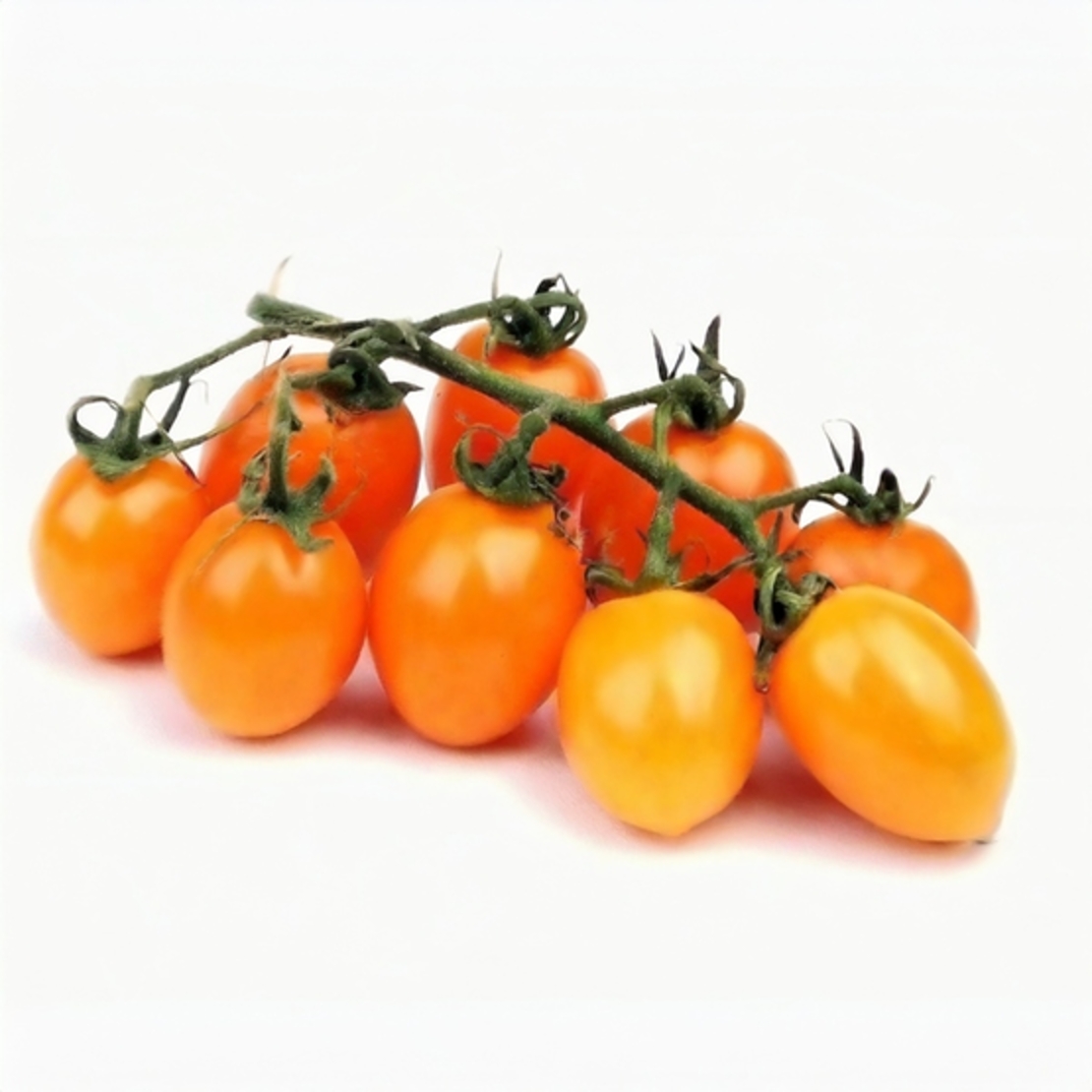 עגבניה שרי כתום - מארז 500 ג׳