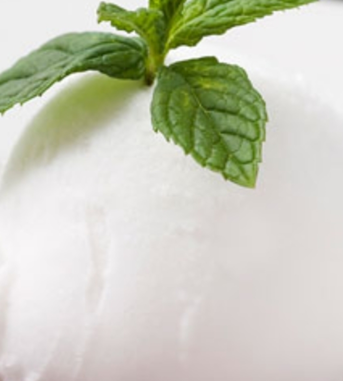 גלידת סורבה קוקוס 5 ליטר - פרווה